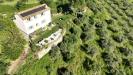 Casa indipendente in vendita nuovo a Alviano in localit� calanchi 6 - 05, country house (10)