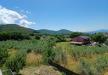 Casa indipendente in vendita con giardino a Guardea in via poggio vecchio 18 a - 04, 2b2b033a-22e3-452f-84ad-6d38c4ec0980
