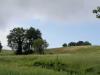 Terreno Agricolo in vendita a Lugnano in Teverina in vocabolo varzoli - 05, 20200519_090208.jpg