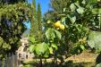 Appartamento in vendita a Montecchio in via della lungara 49 - 05, appartamento borgo giardino (39).jpg