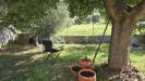 Casa indipendente in vendita con giardino a Guardea in localit� cocciano 30 - cocciano - 05, GIARDINO (2)
