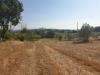 Rustico in vendita da ristrutturare a Lugnano in Teverina in strada di vagli - 04, 20190627_165939 - Copia.jpg