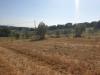 Rustico in vendita da ristrutturare a Lugnano in Teverina in strada di vagli - 05, 20190627_165941.jpg