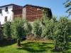 Casa indipendente in vendita con giardino a Lucca in via sant'angelo - sant'angelo in campo - 02, 20200625_162816.jpg