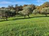 Villa in vendita con giardino a Lucca in via di sant'alessio - monte san quirico - 03, villa-lusso-lucca-fusca-vendita_6.jpg