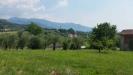 Villa in vendita con giardino a Lucca in via francesco ferraris - sant'anna - 04, 20150630_114500.jpg