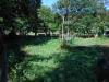 Villa in vendita con giardino a Lucca in via francesco ferraris - sant'anna - 06, DSCN1931.JPG