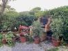 Appartamento in vendita con giardino a Bagno a Ripoli in via delle ginestre - vallina - 04, IMG_9234.jpg