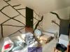 Appartamento bilocale in vendita a Firenze in piazza tanucci - statuto - 06, WhatsApp Image 2025-10-02 at 11.15.25 (1).jpeg