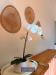 Appartamento in vendita a Firenze in via il prato - il prato - 05, WhatsApp Image 2026-09-18 at 11.55.10 (1)
