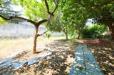 Villa in vendita con giardino a Pulsano in via adige - 06, giardino