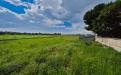 Terreno Agricolo in vendita a Leporano in via rosmarini - 03, terreno