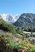 Appartamento bilocale in affitto con giardino a Courmayeur in via grapillon 7 - dolonne - 03, AFFITTO DOLONNE - VISTA DAL GIARDINO