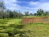 Terreno Agricolo in vendita a Cecina - 02