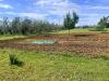 Terreno Agricolo in vendita a Cecina - 03