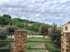 Appartamento in vendita con giardino a Guardistallo - 03