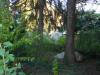 Villa in vendita con giardino a Saronno - 05