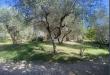 Villa in vendita con giardino a Castelnuovo Magra in via di mezzo - 04, Immagine 2022-06-29 095500.png