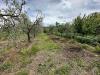 Terreno Agricolo in vendita a Castelnuovo Magra in via tavolara - 03, K.jpg