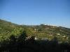 Villa in vendita con giardino a Castelnuovo Magra in via montefrancio 69 - 05, DSCN1276.jpg