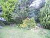 Casa indipendente in vendita con giardino a Ortonovo in via caffaggiola 37 - 05, DSCN5782.jpg