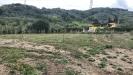 Appartamento in vendita con giardino a Castelnuovo Magra in via corta 2 - 06, WhatsApp Image 2026-08-06 at 09.18.29 (7)