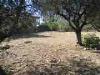 Villa in vendita con giardino a Ortonovo in via luni 36 - 02, DSCN7024.jpg