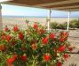 Casa indipendente in vendita con giardino a Ameglia in via p. ratti 44 - fiumaretta - 02, 1224206-1j19hnj.jpg