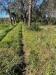 Casa indipendente in vendita con giardino a Sarzana in via ghiarettolo 11 - san lazzaro - 02, 1296856_f7uf246dd.jpg