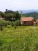 Villa in vendita con giardino a Sarzana in via falcinello 300 - falcinello - 05, 5.jpg