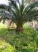 Villa in vendita con giardino a Sarzana in via falcinello 300 - falcinello - 06, 8.jpg