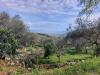 Rustico in vendita con giardino a Ameglia in via caffaggio 10 - alta - 05, thumbnail_6bf4b00a-e1e9-4d75-9003-73996e0605fe.jpg