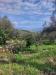 Rustico in vendita con giardino a Ameglia in via caffaggio 10 - alta - 06, thumbnail_60de769e-0cfb-40d5-9cc1-37a13b3ac2bc.jpg