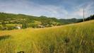 Rustico in vendita da ristrutturare a Montese in via pescaroggio 150 - 04, podere zocca Rosola_Semelano (8).jpg