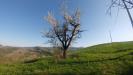 Terreno Agricolo in vendita a Monte San Pietro in via castello 45 - 04, PODERE Monte San Pietro (20).jpg