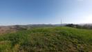 Terreno Agricolo in vendita a Monte San Pietro in via castello 45 - 06, PODERE Monte San Pietro (22).jpg