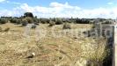 Terreno Agricolo in vendita a Gallipoli in strada statale 274 - 02, imgviewer (2).jpg