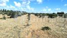 Terreno Agricolo in vendita a Gallipoli in strada statale 274 - 06, imgviewer.jpg