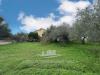 Casa indipendente in vendita con giardino a Sassari - bancali - 03, Immagine WhatsApp 2023-11-20 ore 17.16.00_92a4604f