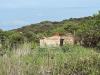 Terreno Agricolo in vendita a Alghero - 03, Immagine WhatsApp 2025-04-23 ore 11.02.51_6b2204dc