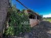Terreno Agricolo in vendita a Alghero - 05, Immagine WhatsApp 2025-04-23 ore 11.02.51_2666930a