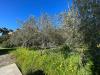 Villa in vendita con giardino a Alghero in strada vicinale di garrone 109 - 05, 2c91809b-2d97-4122-a5d6-81f4bcf16388.jpg