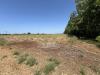 Terreno Agricolo in vendita a Alghero - 02, Immagine WhatsApp 2025-06-27 ore 16.23.54_9d85cd54