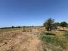Terreno Agricolo in vendita a Alghero - 05, Immagine WhatsApp 2025-06-27 ore 16.23.55_97ae3368
