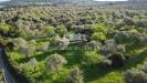 Terreno Agricolo in vendita a Alghero - 04, DJI_0705.JPG