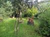 Villa in vendita con giardino a Carrara - marina di - 03