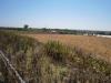Terreno Agricolo in vendita a Siracusa - maremonti cretazzo - 06, P6270017.JPG