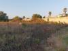 Terreno Edificabile in vendita a Siracusa - elorina - santa teresa - 02, 20190712_193849.jpg