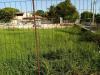 Terreno Agricolo in vendita a Siracusa - elorina - santa teresa - 03, 3.jpg