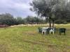 Terreno Agricolo in vendita a Siracusa - fontane bianche - 04, 4.jpg